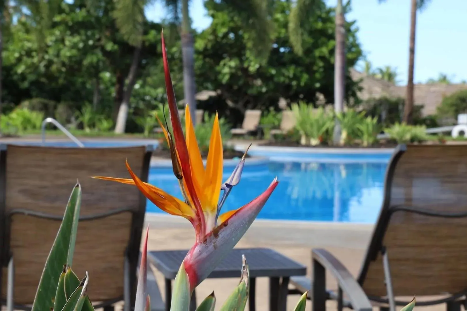 Paradise Found Villa Paradise Found 2Br At Kulalani With Private Beach Club Waikoloa 0*,